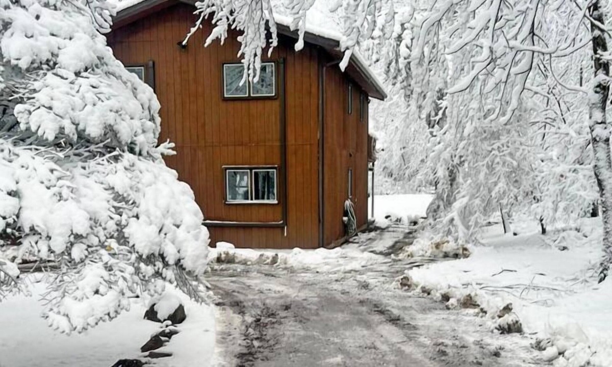 Briar Crest Woods Cabin | Pickleball |Pool Table |Hot Tub |FirePit |King Bed