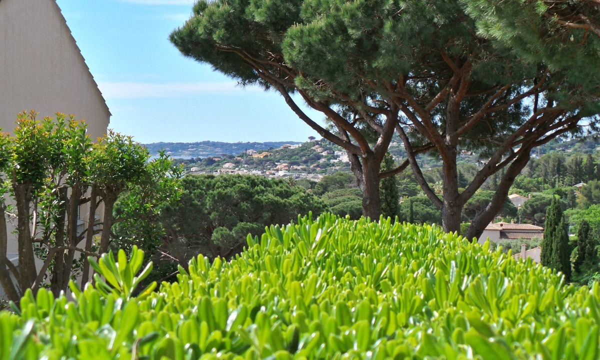 La Nartelle Apartment | PIERRE et VACANCES apt 137