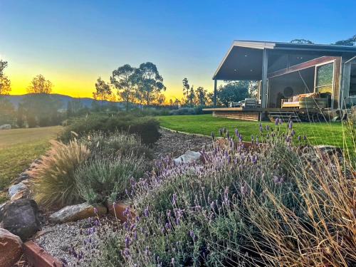 Broke House | Pindara