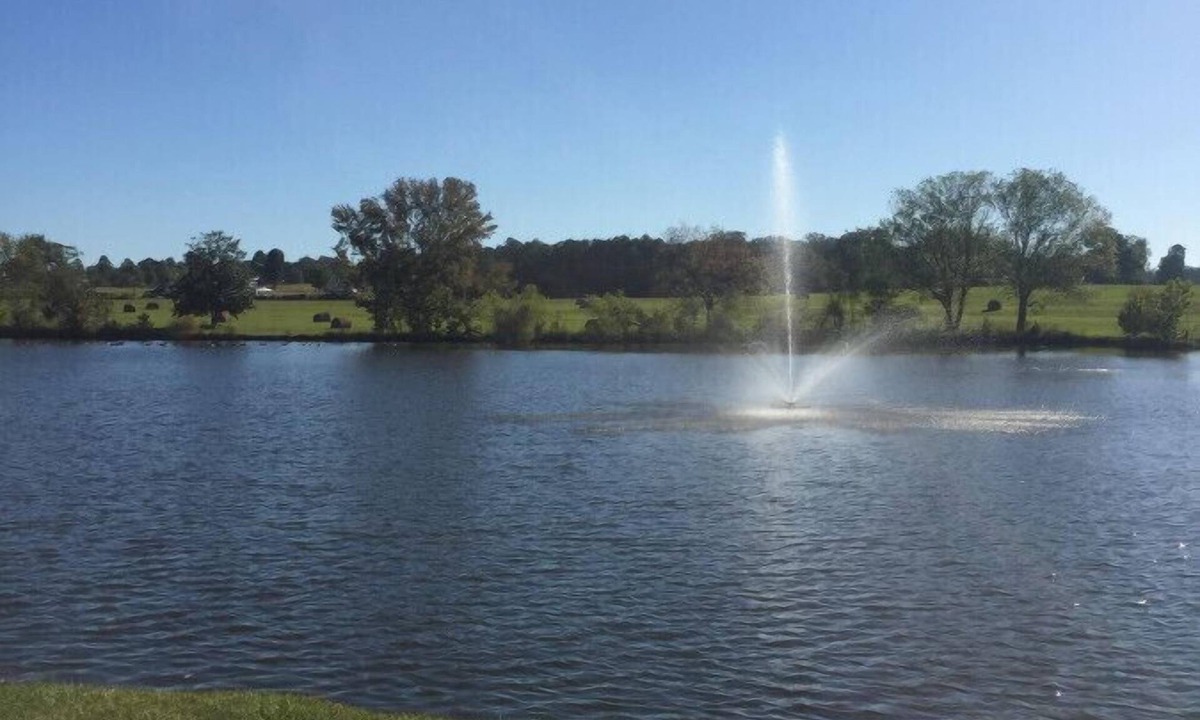 Pine Mountain Apartment | Pine Mountain Loft at the lake