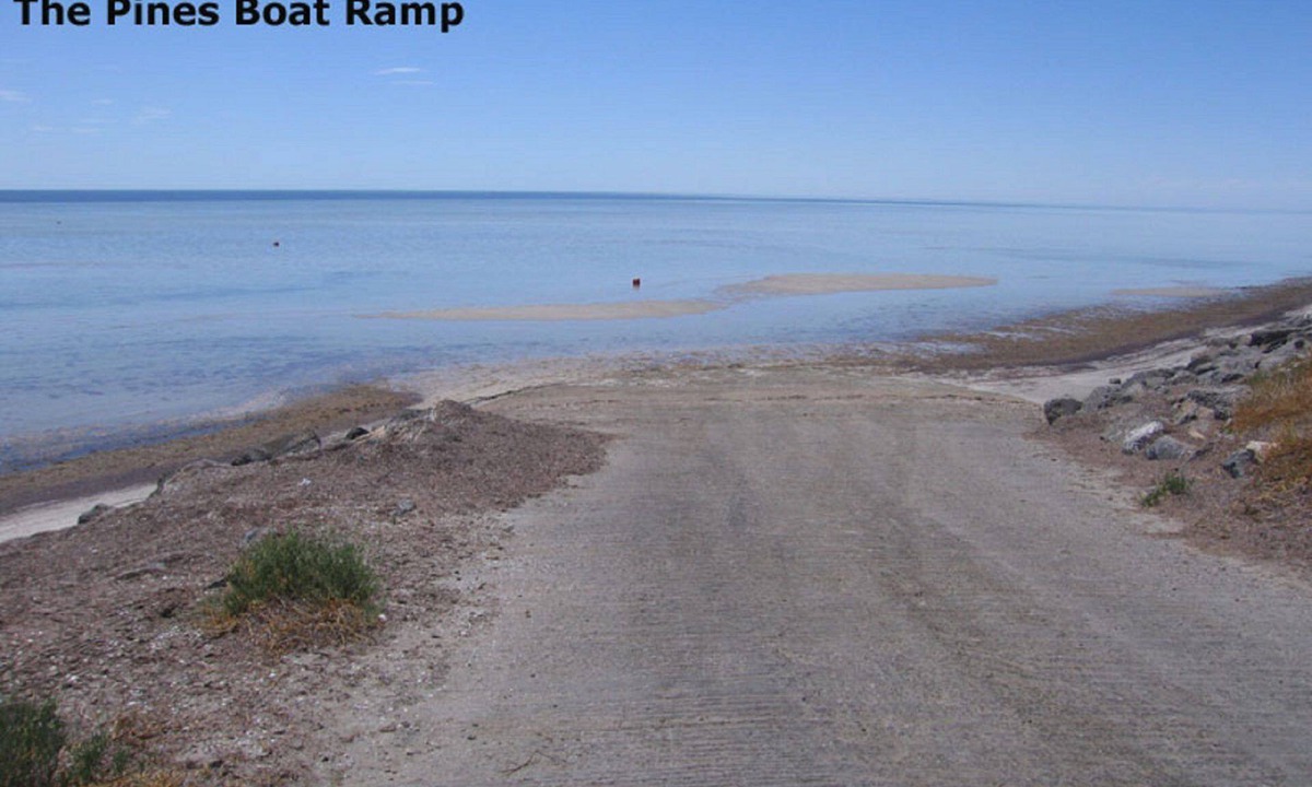 Para Wurlie House | Pinus Craziartus - Winter off Peak Special!