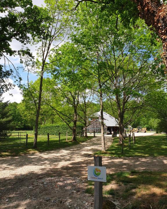 Gouise House | Pisseloup