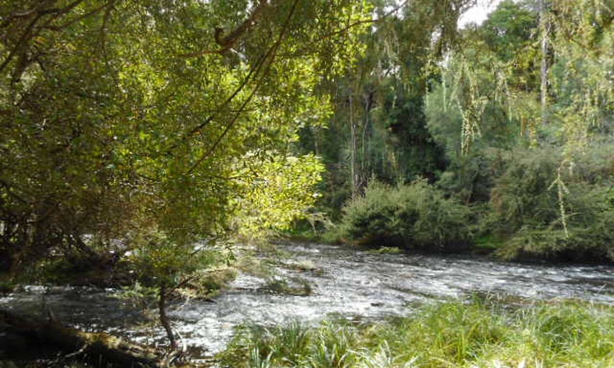 Warburton Apartment | Platypus Den in Warburton