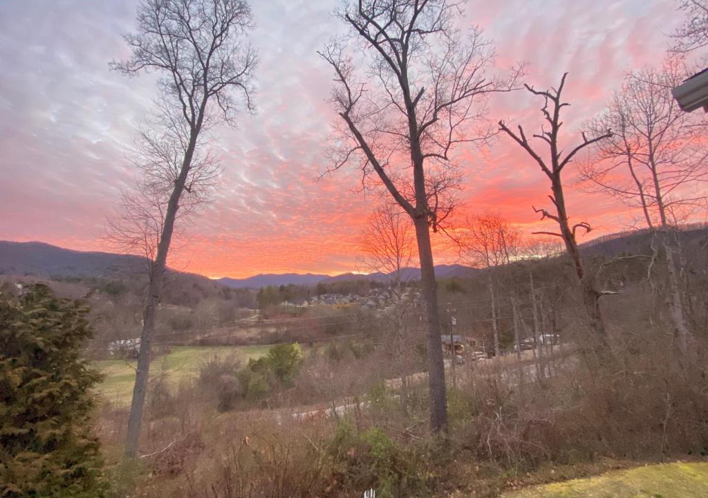 Weaverville Villa | Pleasant Grove Cottages - Misty Mtn (#113)/Lazy Bear (#115)