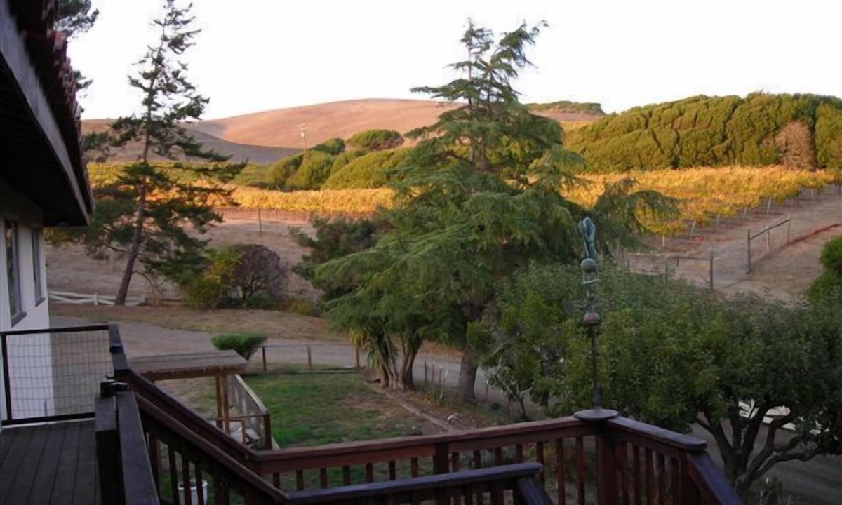 Point Reyes Station Bed & Breakfast | Point Reyes Vineyard Inn
