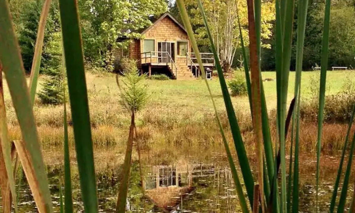 Port Angeles Cabin | Pond Cottage. A roomy tiny home with a Pond