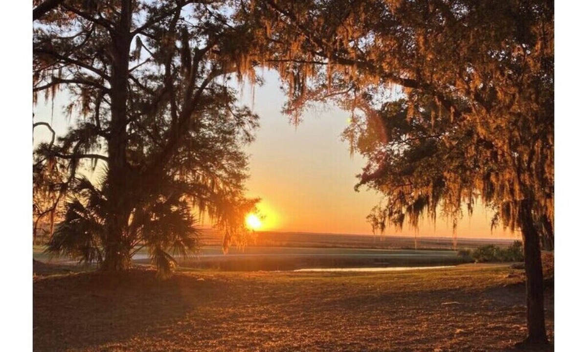 Valdosta House | Pond House