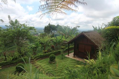 Baturiti House | Pondok Kayu Pathavi