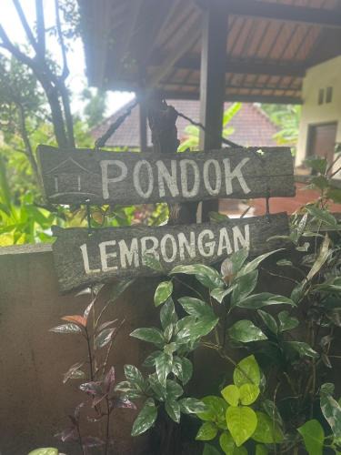 Mushroom Bay Resort | Pondok Lembongan
