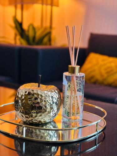 Pin - Vert Galant Apartment | Pontlieu 24h Le Mans