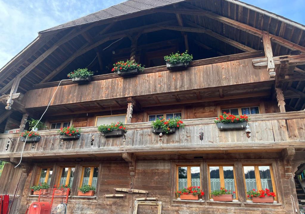 Heiligenschwendi Apartment | Pony Hof