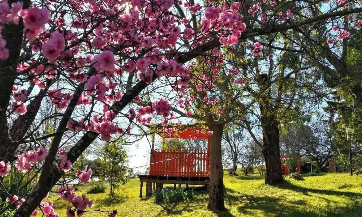 Braemar Hotel | Poplars at Mittagong