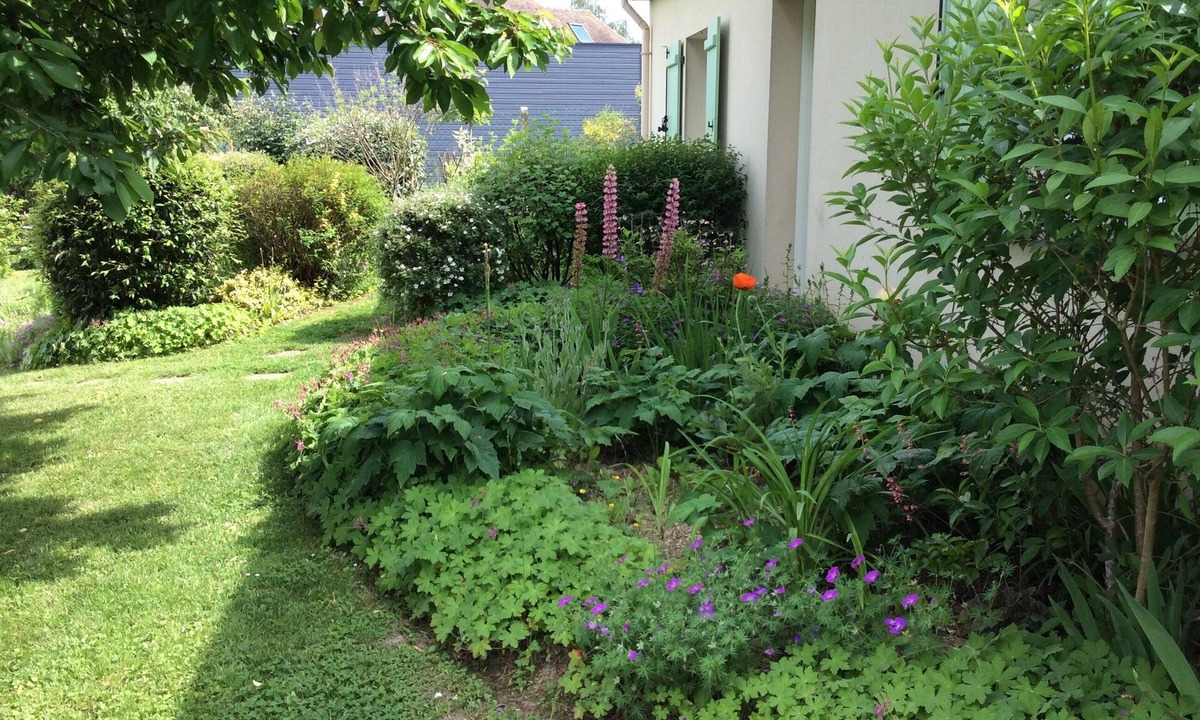 Orgeval Apartment | poppies 1