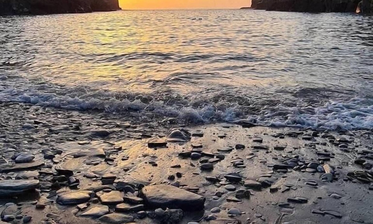 Port Gaverne Hotel | Port Gaverne Hotel