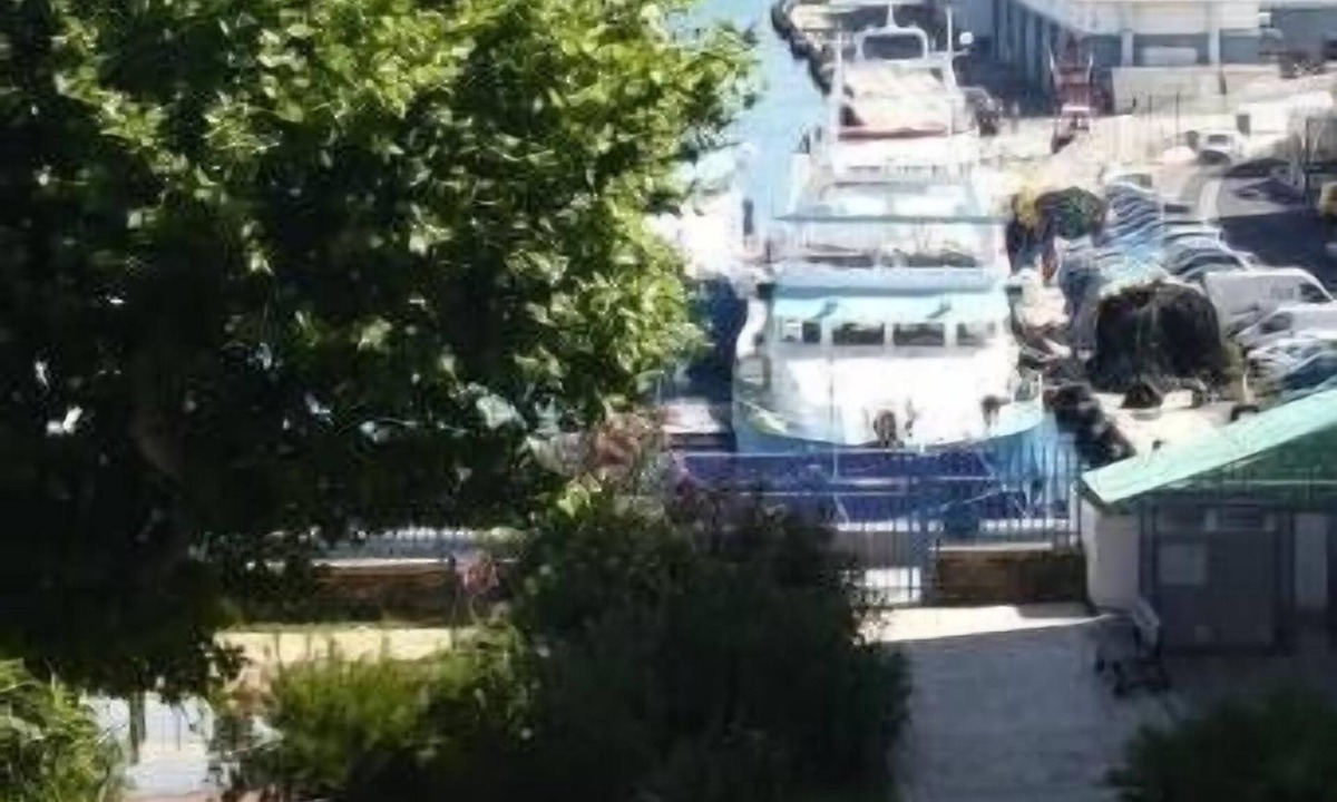 Port-Vendres Apartment | Port-Vendres - Collioure: cosy 2 rooms, 592 sqf, 4-6 pers, sea et harbour views