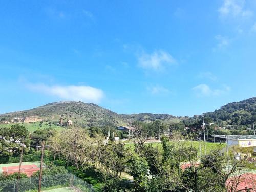 Port-Vendres Apartment | Port-Vendres : T2 avec terrasse et parking - FR-1-309-215