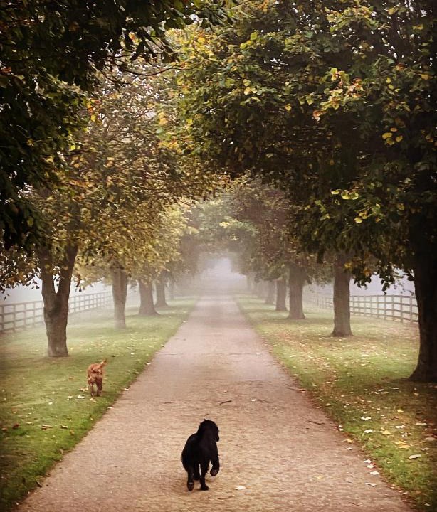 Towcester Apartment | Potcote farm stables accommodation fudges stable