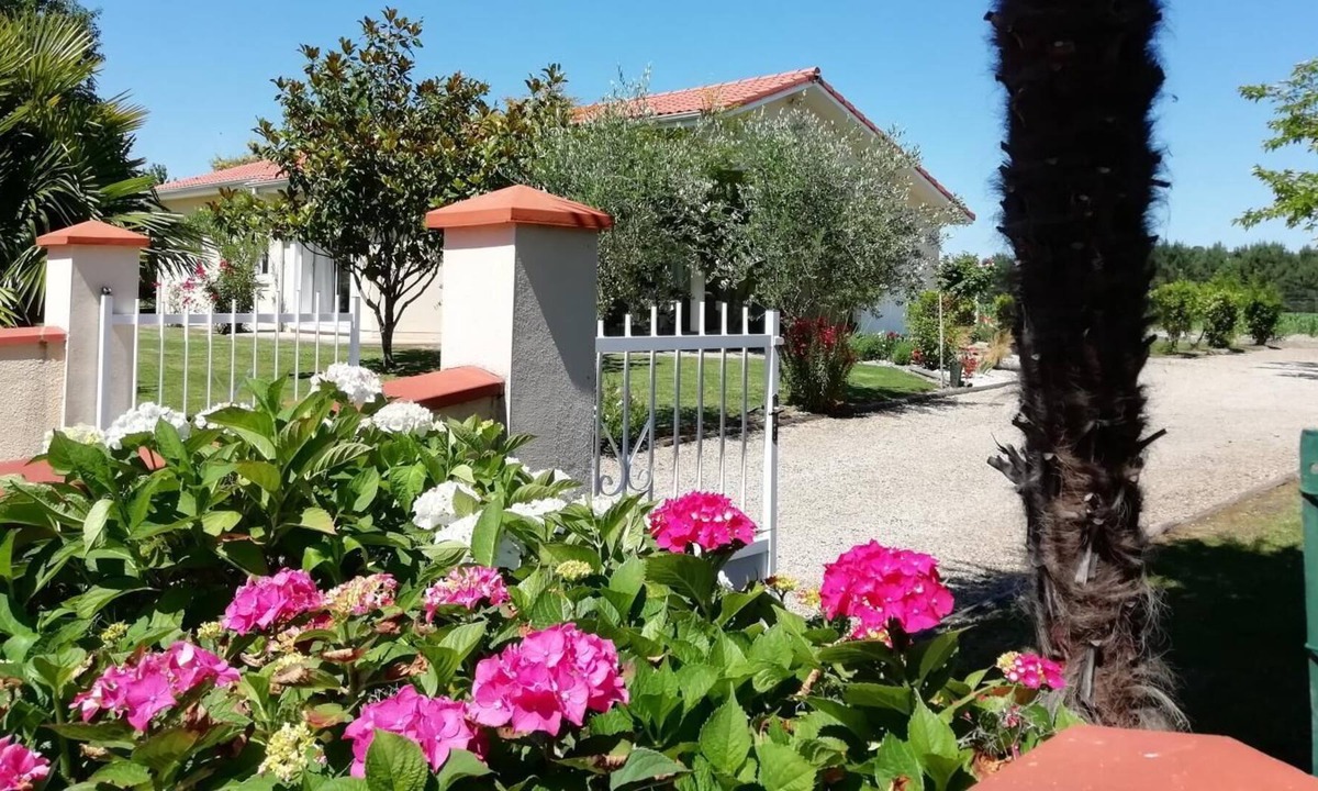 Bats House | Pourquoi Pas - Bats - Gîte