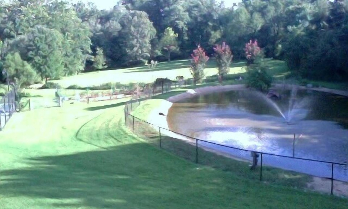 Oakton House | Pre-SALE 10% off by MAR 2020 French Country: Pond, Heated Pool, Hot Tub, Tennis