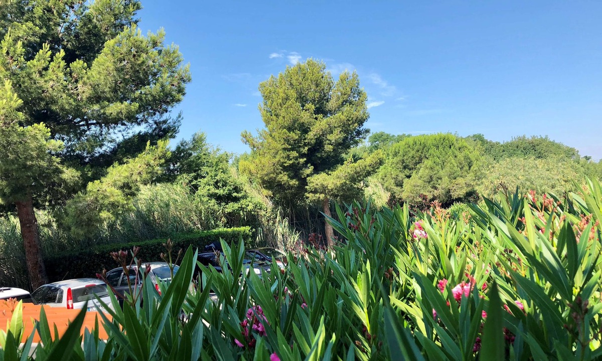 Perpignan Hotel | Premiere Classe Perpignan Sud