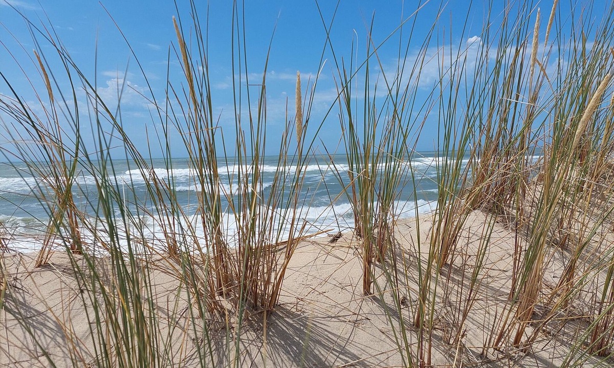 Saintes Hotel | Premiere Classe Saintes