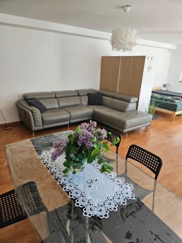 Busingen am Hochrhein Apartment | PREMIUM HOME