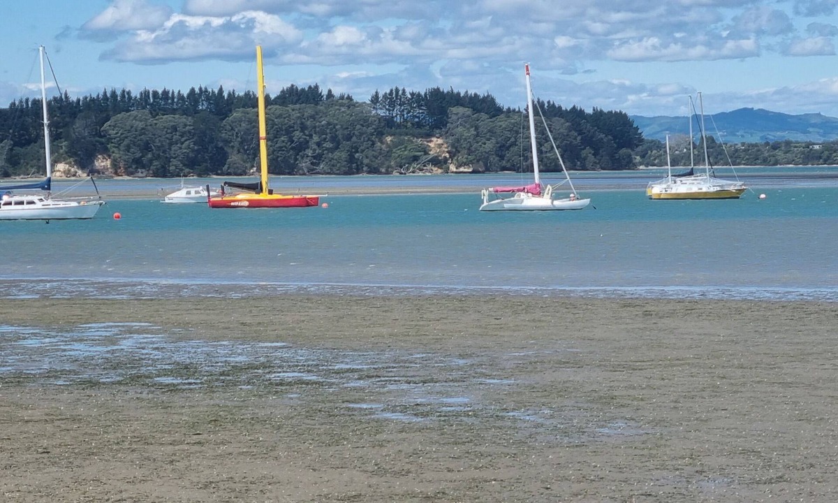 Omokoroa House | Pretty as a Picture