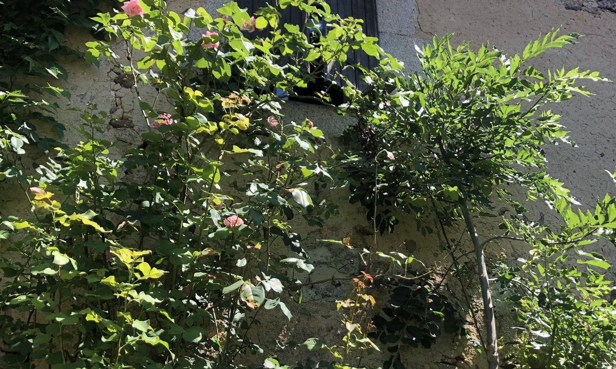 Burlats House | Pretty country house