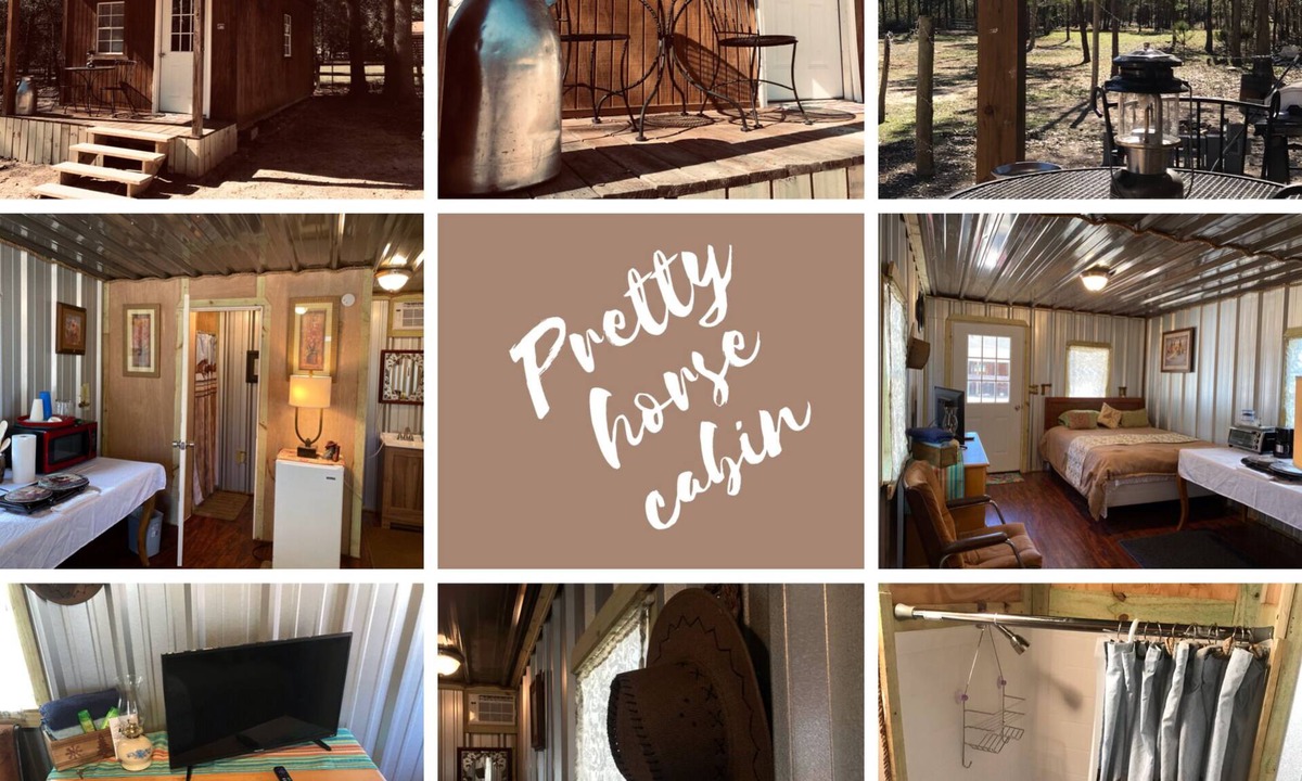Willis Cabin | Pretty horse cabin in the woods
