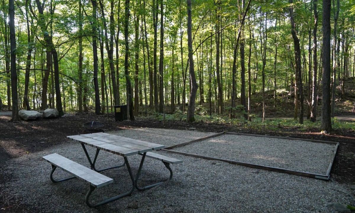 Vernon RV Rental | Primitive Camping Site