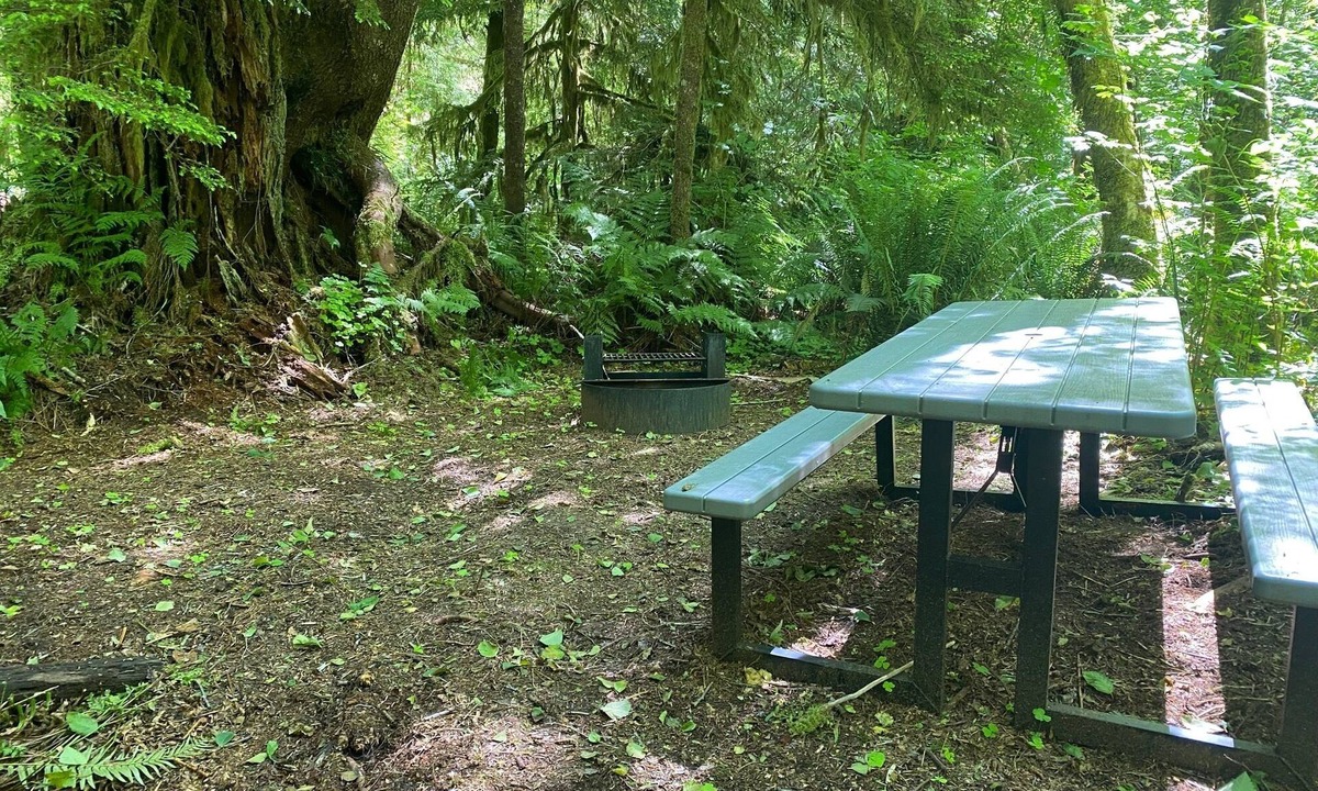 Forks RV Rental | Primitive Tent Site in Enchanted Rain Forest - Site #18