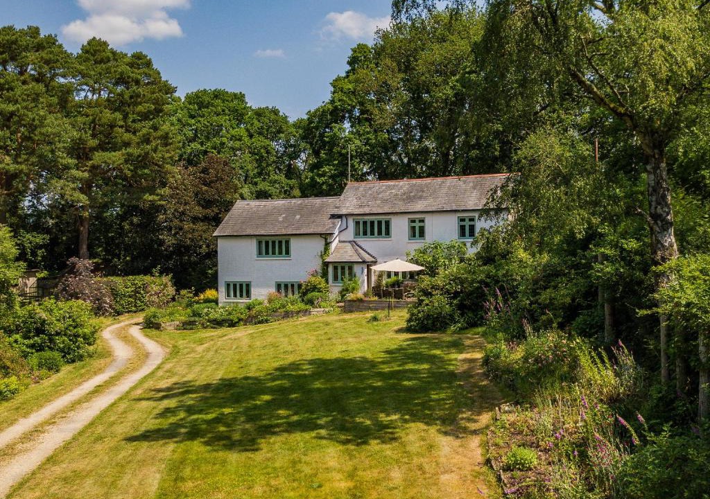 New Forest District House | Primrose Spinney