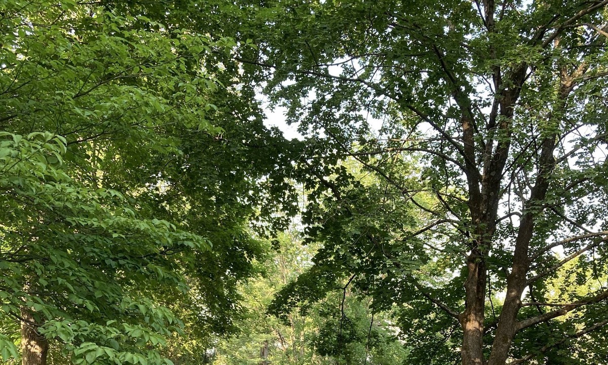 Princeton House | Princeton Rosedale House