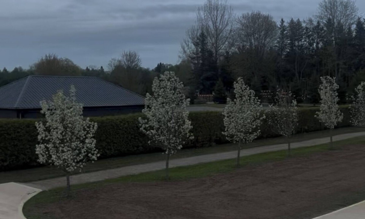 Ashburn House | Pristine 10 Acres