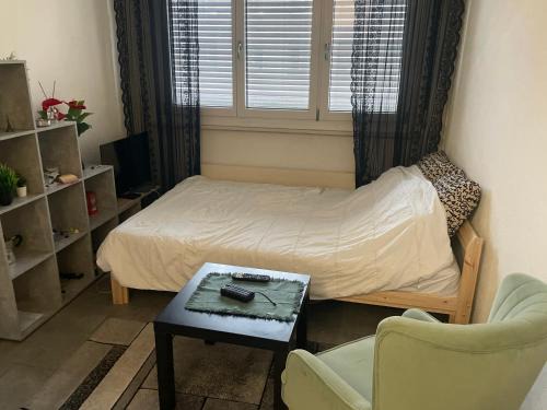 Coulouvreniere Rois Apartment | Privat