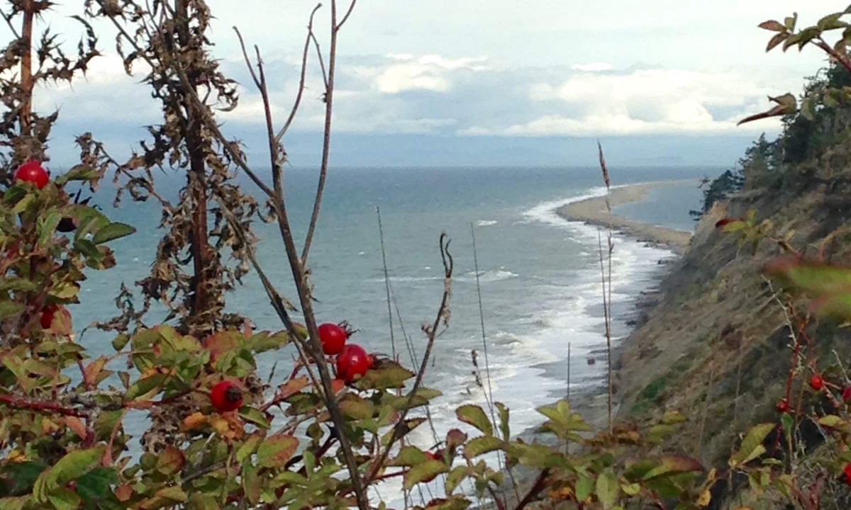 Port Angeles House | Private Beach Access, Clean, Comfortable Home between Sequim & Port Angeles