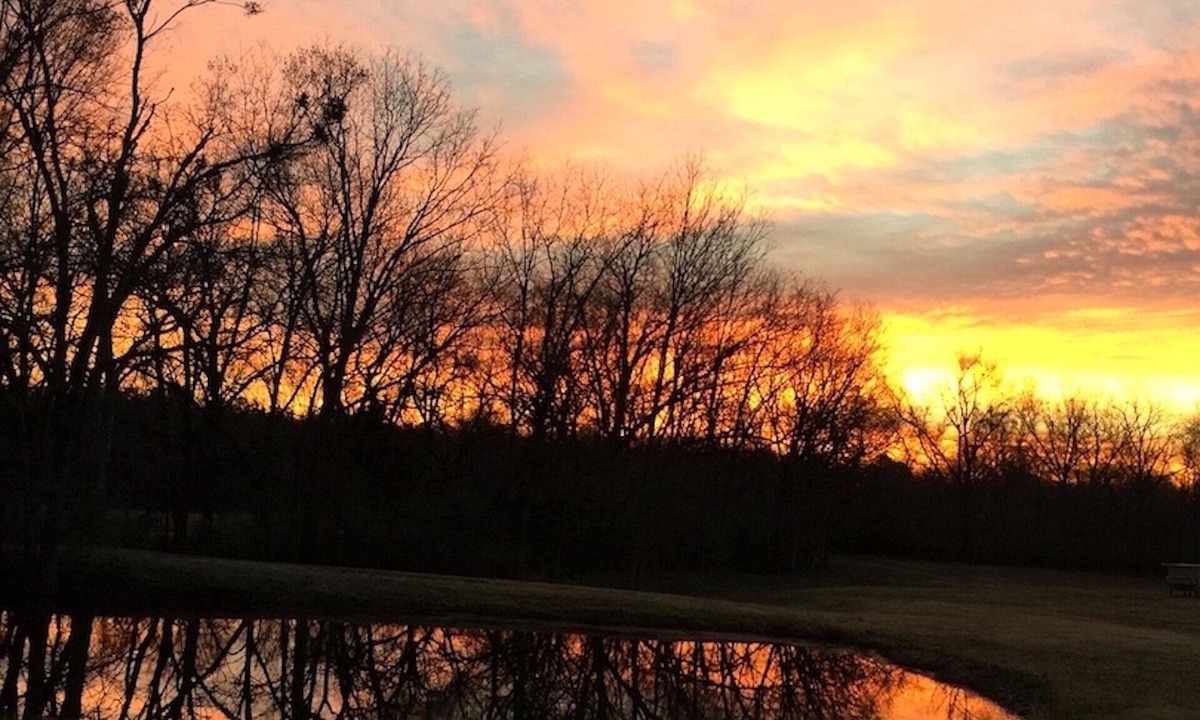 Detroit Cottage | Private cottage situated on 6.5 acres, beautiful sunrises, pond, fishing & more.