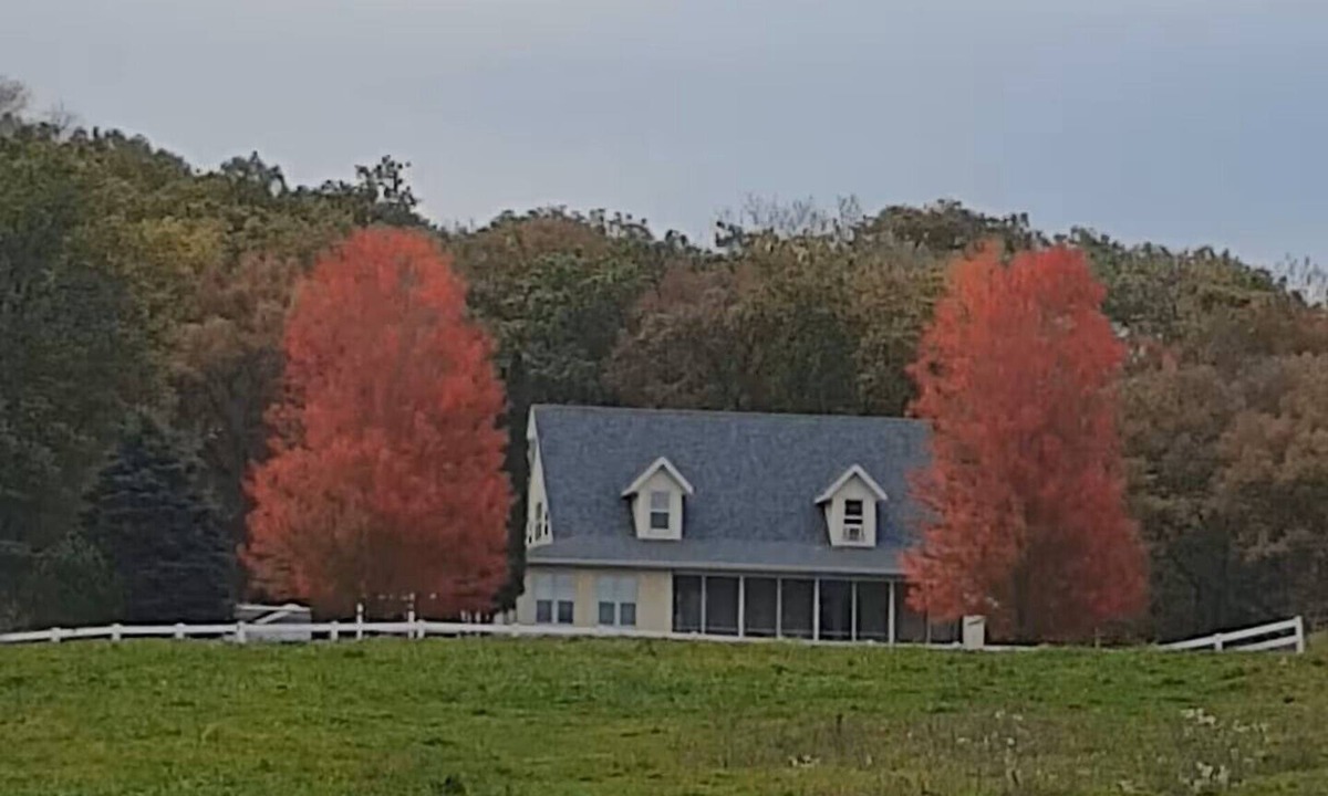 Mindoro House | Private Country Retreat Near Downtown La Crosse