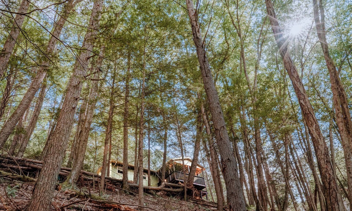 Cambra House | Private Creekfront-fish-Kayaks,campfire,decks, well known trout stream, privacy