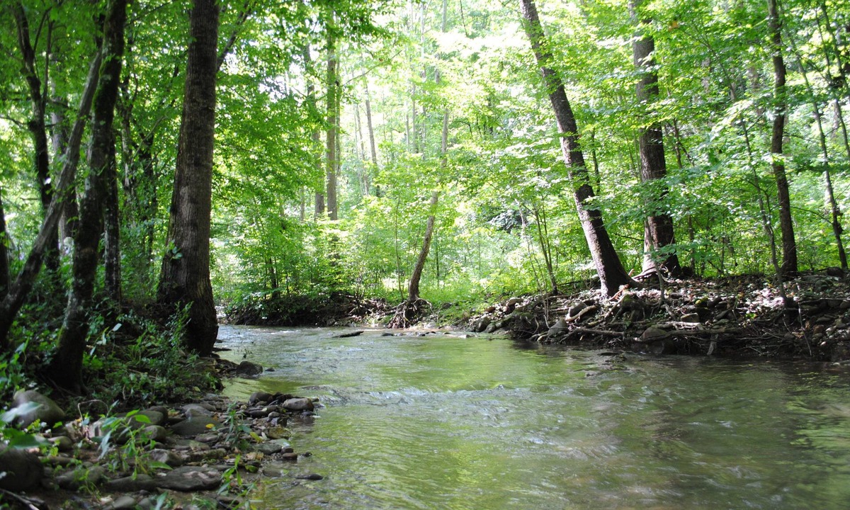 Pigeon Forge Cabin | Private, Crk side, 2 mls to PF Parkway , Lg yard, pet and motorcycle friendly.