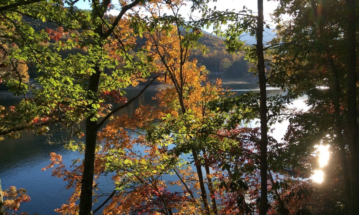 Topton Cabin | Private dock, Wifi, Lakefront, Rustic Appalachian Cabin on Nantahala Lake!