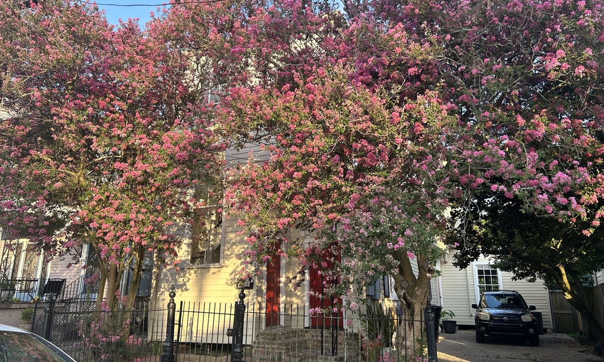 Saint Thomas Development House | Private Garden District Home