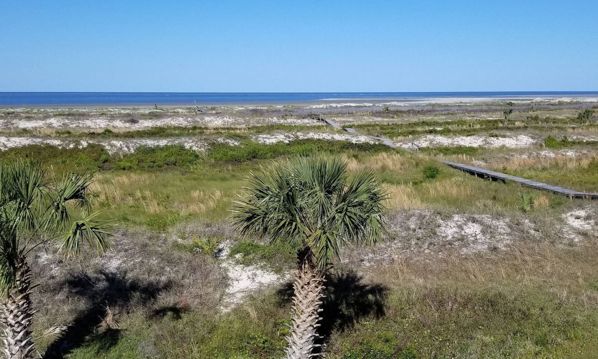 Oceanmarsh Subdivision House | Private Island Ocean Front Serenity