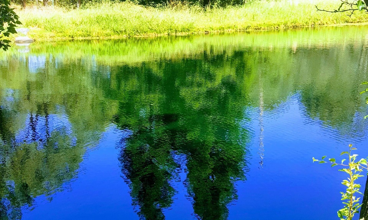 Loomis House | Private Lake, Farm Stay, 100 acres Granite Bay