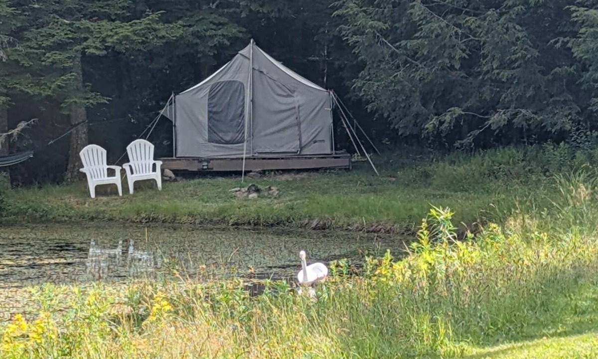 Parksville RV Rental | Private Lakefront Glamping Campsite