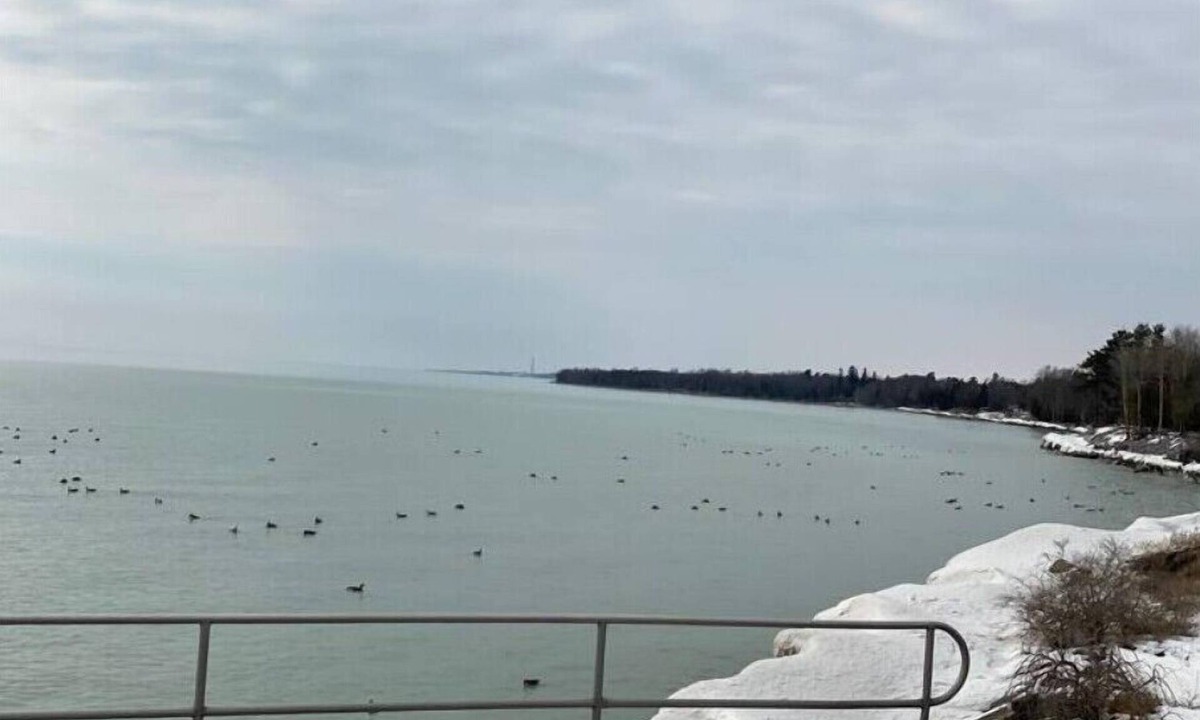 Cobourg Apartment | Private Lakeside Loft with Pationn