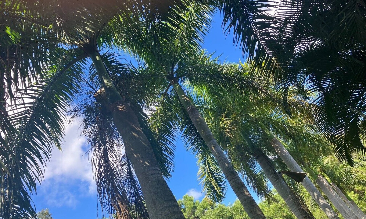 Bokeelia Apartment | Private location on island time