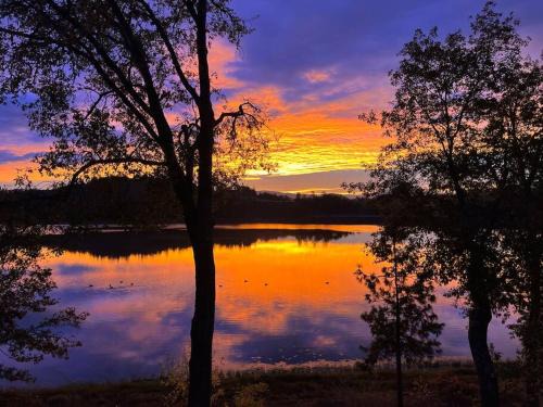 Shady Cove House | Private Ranch Log Cabin Lakeside Escape