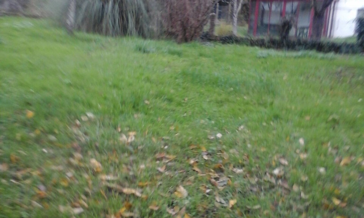 Vierzon Bed & Breakfast | Private room in a house with garden in Vierzon