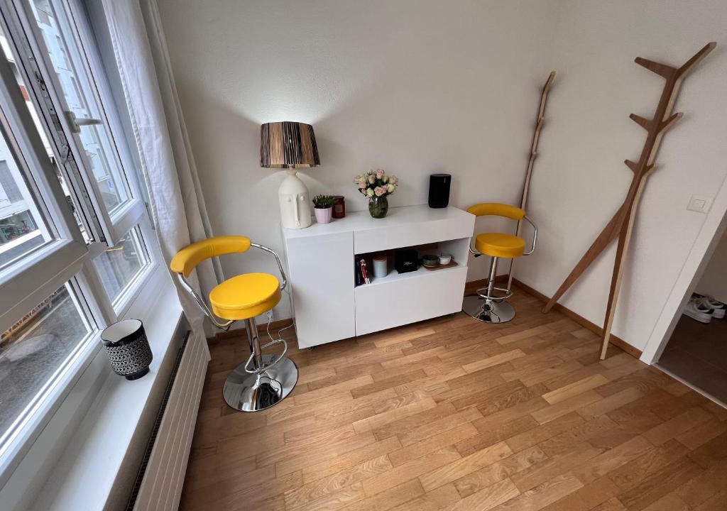 Paquis Navigation Apartment | Private Stylish Modern Studio In The City Centre
